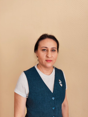 Владимирова Ирина Анатольевна Владимирова Ирина Анатольевна